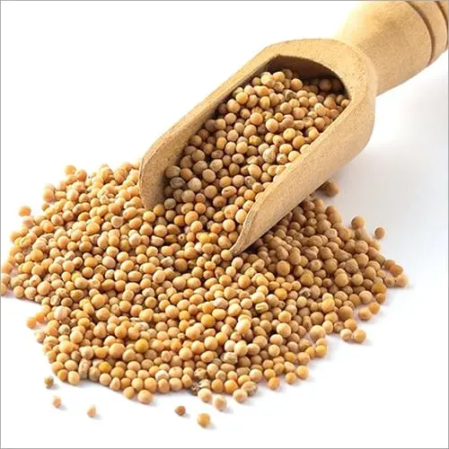 Yellow Mustard Seeds